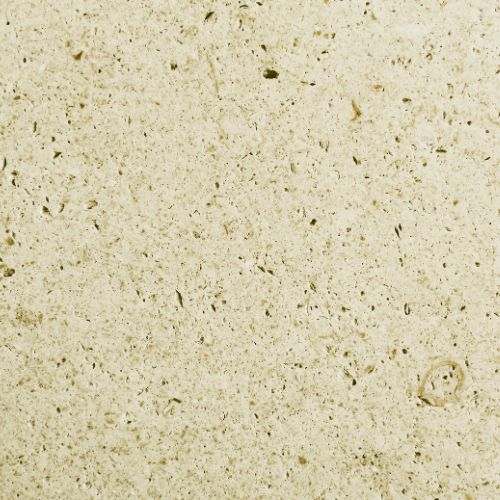 Oceanic6 Mint Fossil