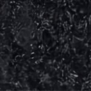 Oceanic6  Desert Black